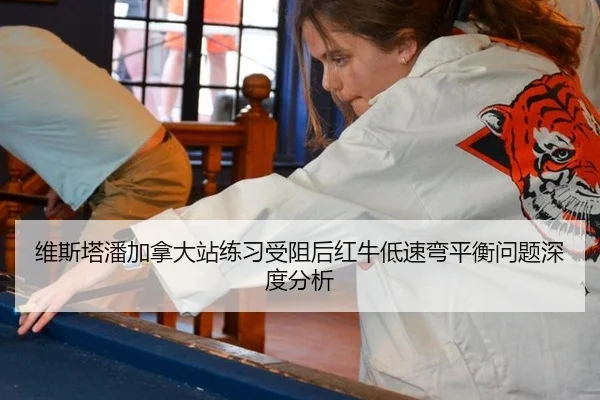 wei-si-ta-pan-jia-na-da-zhan-lian-xi-shou-zu-hou-hong-niu-di-su-wan-ping-heng-wen-ti-shen-du-fen-xi-2-502.jpg